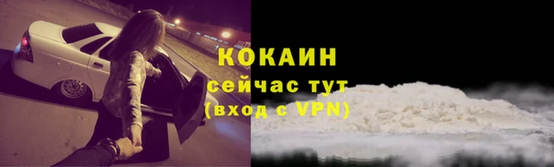 ГАЛЛЮЦИНОГЕННЫЕ ГРИБЫ Бородино