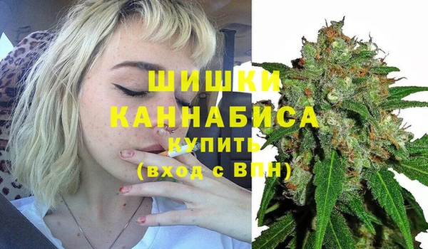 гашик Вязники
