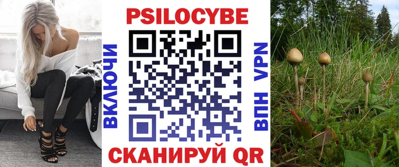 Псилоцибиновые грибы Magic Shrooms  цена наркотик  Знаменск 